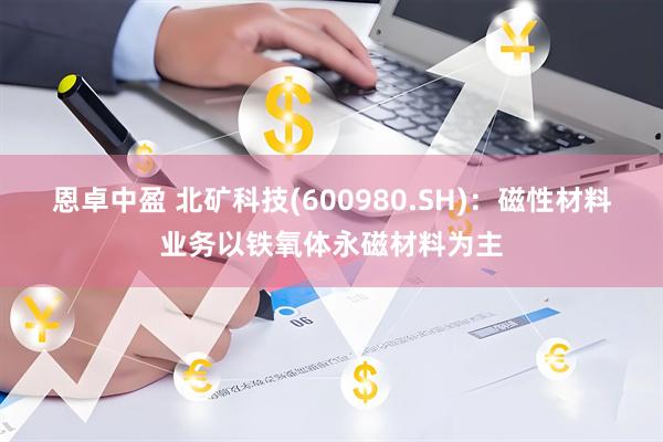 恩卓中盈 北矿科技(600980.SH)：磁性材料业务以铁氧体永磁材料为主