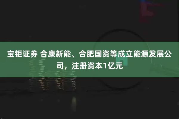 宝钜证券 合康新能、合肥国资等成立能源发展公司，注册资本1亿元